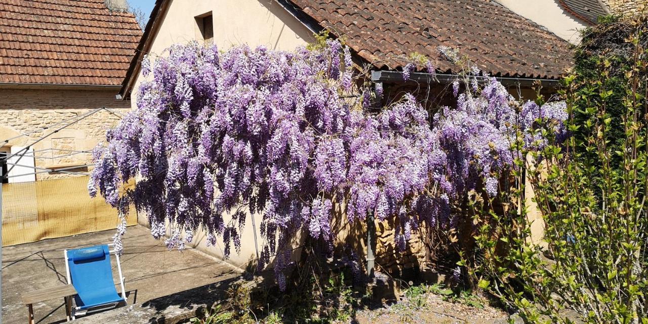 Gite Du Bouyssou Carsac-Aillac Kültér fotó